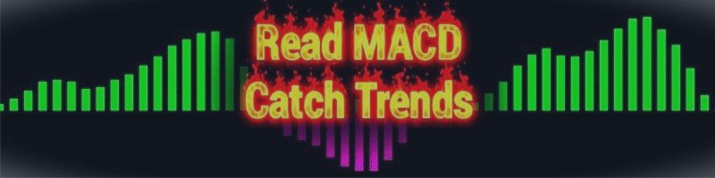 How to Read the MACD Histogram and Spot Strong Trends