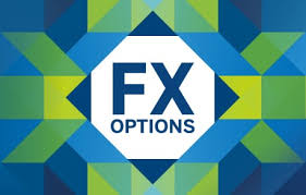 FX Options Insights 24/7/25 | Tickmill